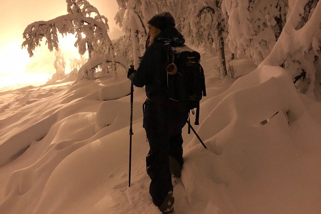 NYSNØ: Det har kommet rikelig med snø de siste dagene. Foto: David Underland NYSNØ: Det har kommet rikelig med snø de siste dagene. Foto: David Underland