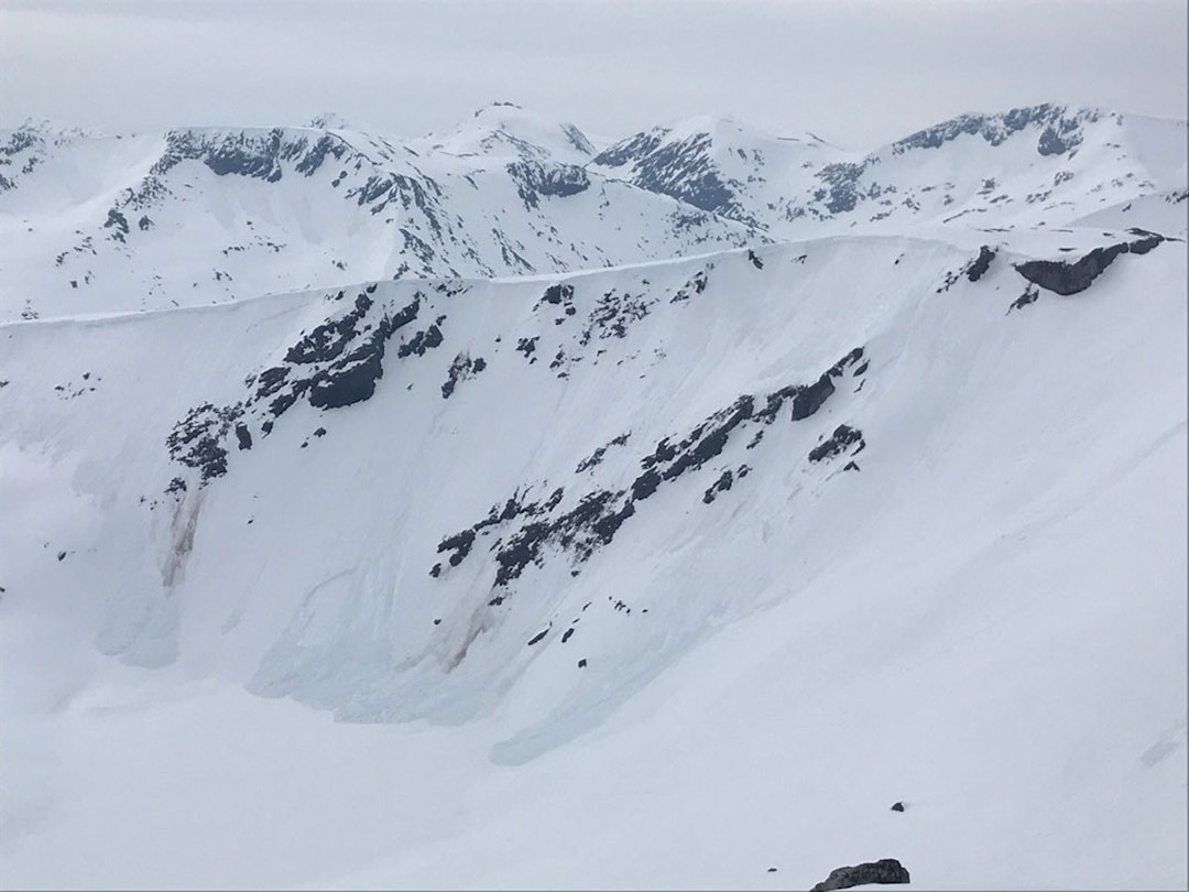 Foto: Torben Rognmo Foto: Torben Rognmo