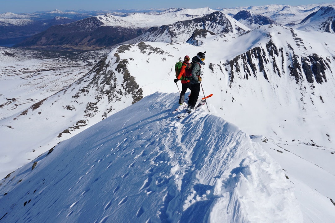 Foto: Halvor Hagen Foto: Halvor Hagen