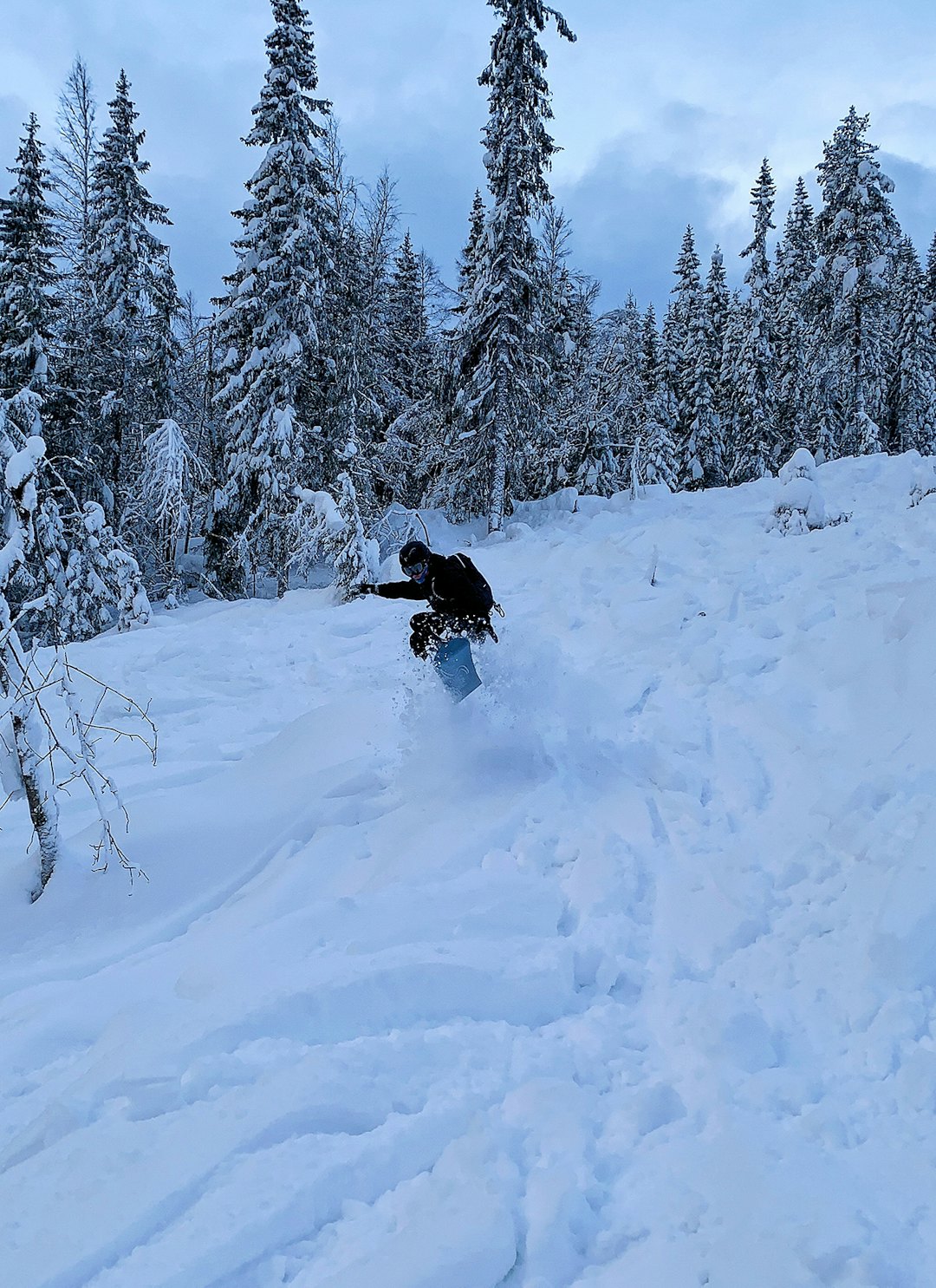 Magnus Moan - En fantastisk pudderdag i Trysilfjellet Trysilfjellet