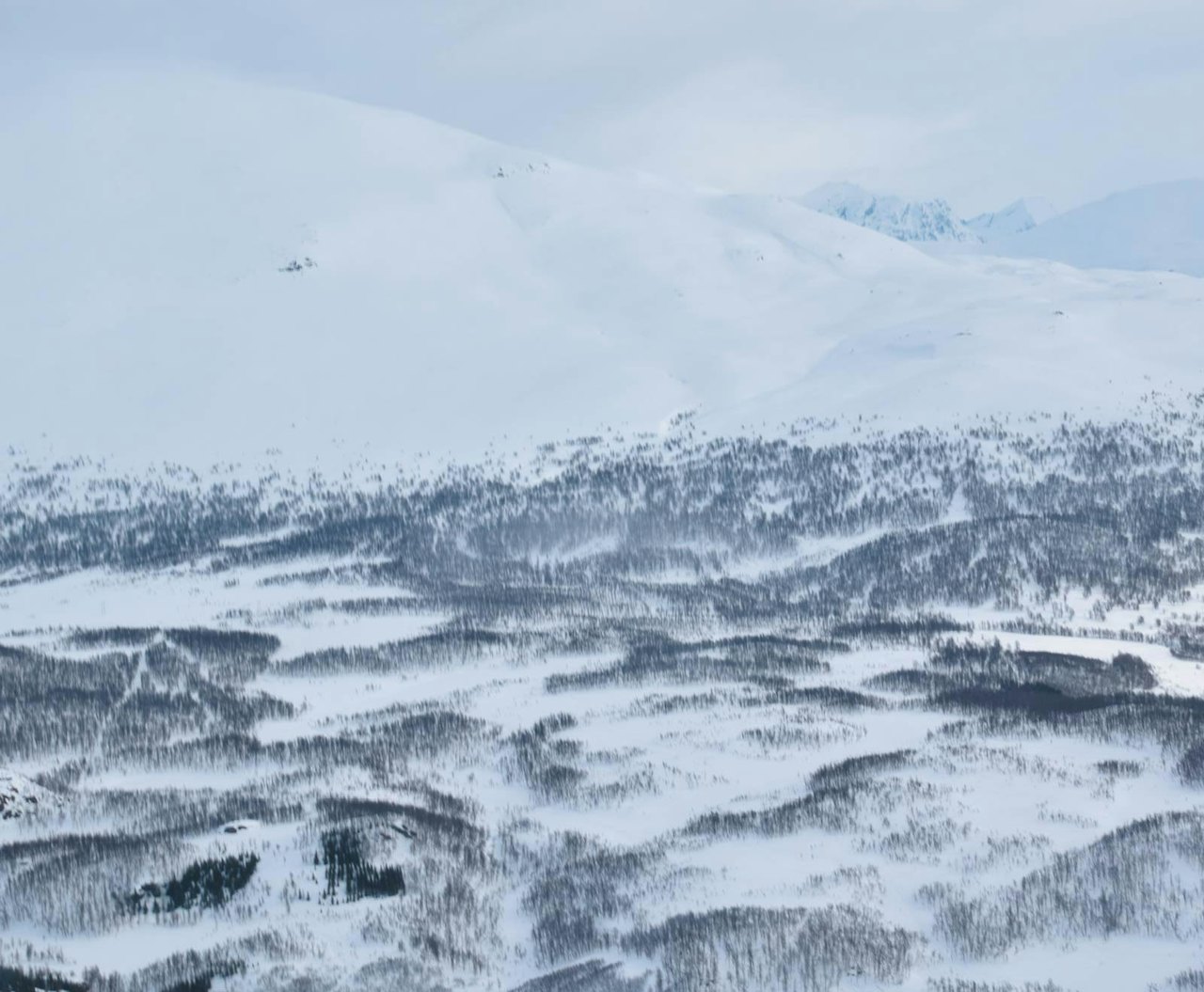 Fra Toppturer i Troms. Fra Toppturer i Troms.