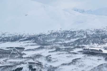 Fra Toppturer i Troms. Fra Toppturer i Troms.