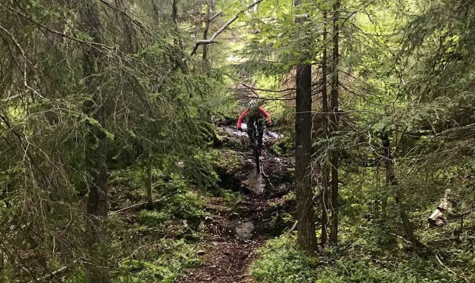 KNOTETE: Lillomarka kan by på kupert landskap med bratte tekniske partier. Foto: Ola Paaske Gulbrandsen stisykling oslo