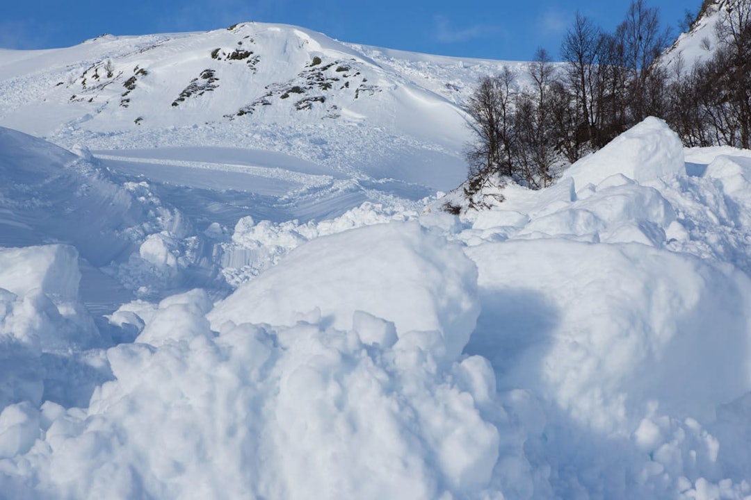 Over 20 prosent av de som omkommer i skredulykker i Norge er utlendinger. Foto: Tore Meirik