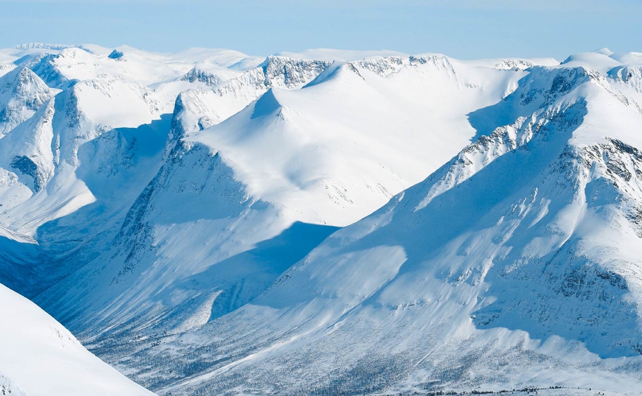 Hesten 1610 moh fra Toppturer i Romsdalen