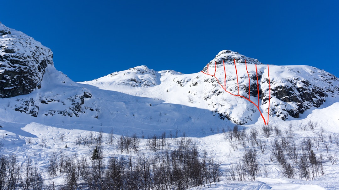 Face-Lørdag Face-Lørdag