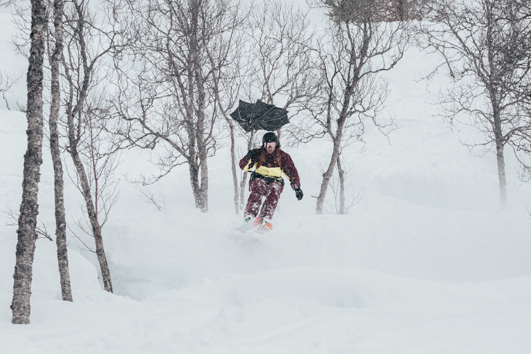 Håvard Dalen Håvard Dalen