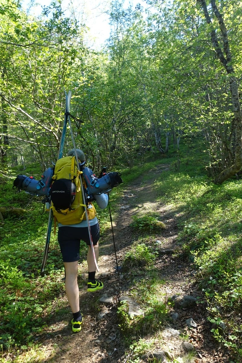 HVITVEIS OG FUGLEKVITTER: Sommerlige forhold på stien fra parkeringsplassen ved Rabben. Foto: Tore Meirik gjuratind topptur Romsdali