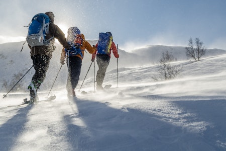 Bleienuten er et fjell der du kan enten gå fra Uppsete eller Ugjersdalen, men havne nede på Vatnahalsen Høyfjellshotell. Bleienuten er et fjell der du kan enten gå fra Uppsete eller Ugjersdalen, men havne nede på Vatnahalsen Høyfjellshotell.