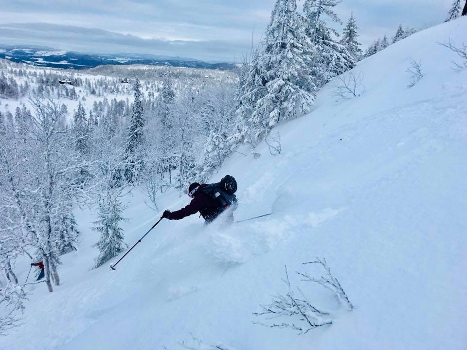 ”JEG ELSKER SNØ,” ble det skreket fra skogen. Foto: Christian Green Pudder - Christian Green 960x