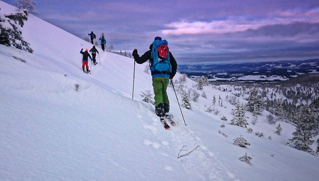 Nye vennskap er etablert. Foto: Tommy Aslaksen Topptur - Tommy Aslaksen 1200x685