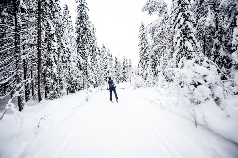 Fine skøytetak i langrennsløypa i retning start Rødkleiva. Foto: Andreas Løve Storm Fausko Rødkleiva