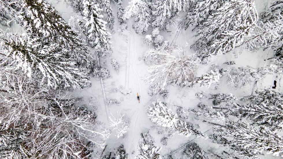 På med fellene og på vei tilbake til Wyller. Foto: Andreas Løve Storm Fausko Rødkleiva