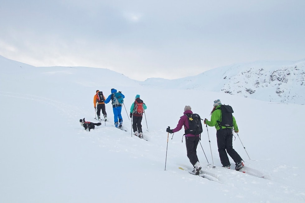 POPULÆR: Finnbufjellet er en populær og lett tilgjengelig skitopp. Foto: Lars Lid Trana Finnbufjellet Voss