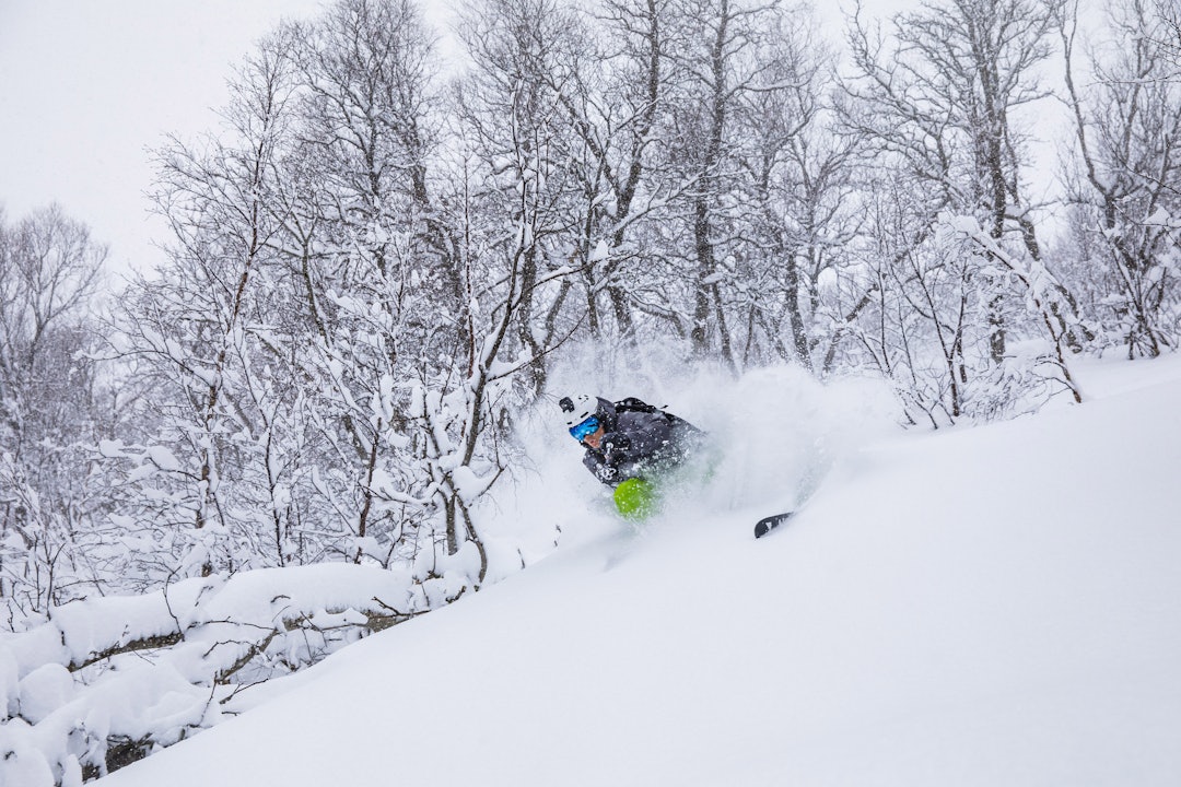 BONUSPUDDER: Primus motor Asbjørn Eggebø Næss fikk seg en solid dose pudder under skia på bonusdagen i Brandstadskogen. Bilde: Terje Aamodt
