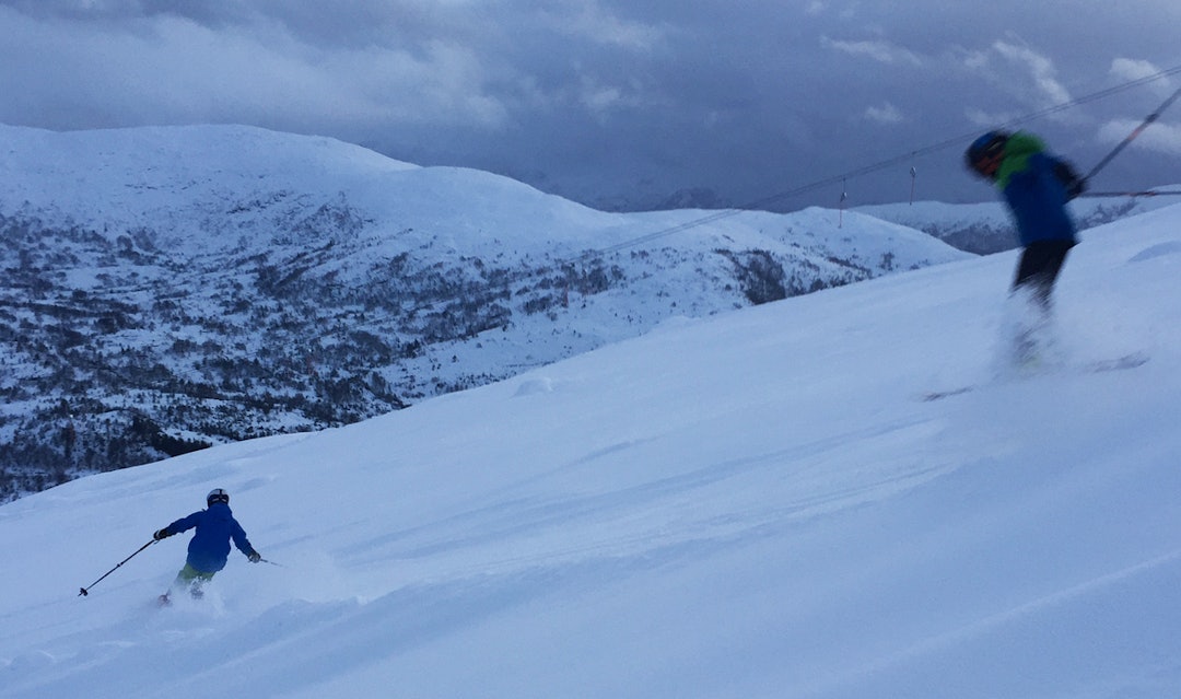 IMG_8542-1 IMG_8542-1