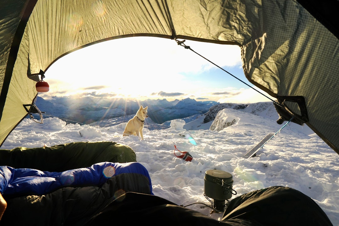 Telt-Steindalsnosi- Telt-Steindalsnosi-