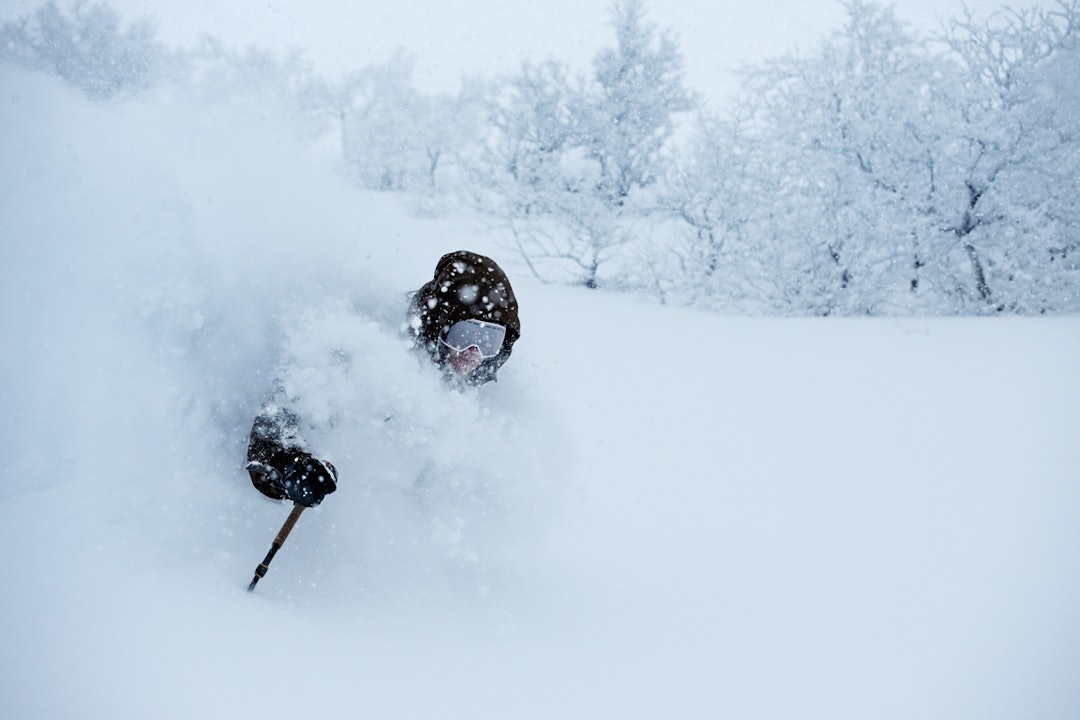 MED HETTE: Asbjørn Eggebø Næss er nesten to meter høy. Dermed ble det litt lettere for han å se foran seg da karene kjørte i skogen på Åmellomfjellet. Foto: Martin Innerdal Dalen asbjorn