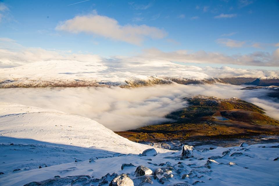 21761669_10159320581100048_2783271447967365508_n 21761669_10159320581100048_2783271447967365508_n