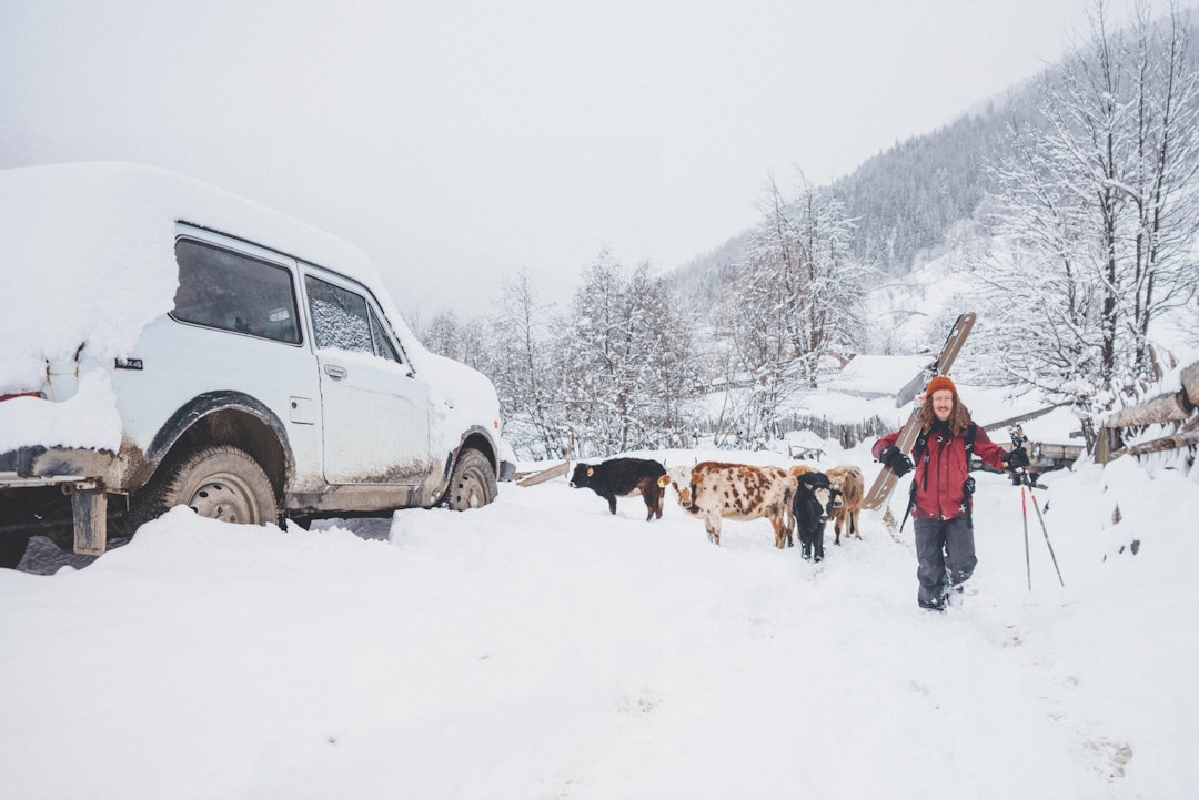 REPRESENTATIVT: Det finst folk i dei fleste krokar på landsbygda i Georgia, men eg er viss på at det finst endå fleire kyr og gamle Lada’ar.