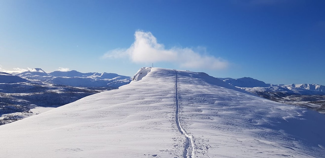 Foto: Trude Langvand Moe Foto: Trude Langvand Moe