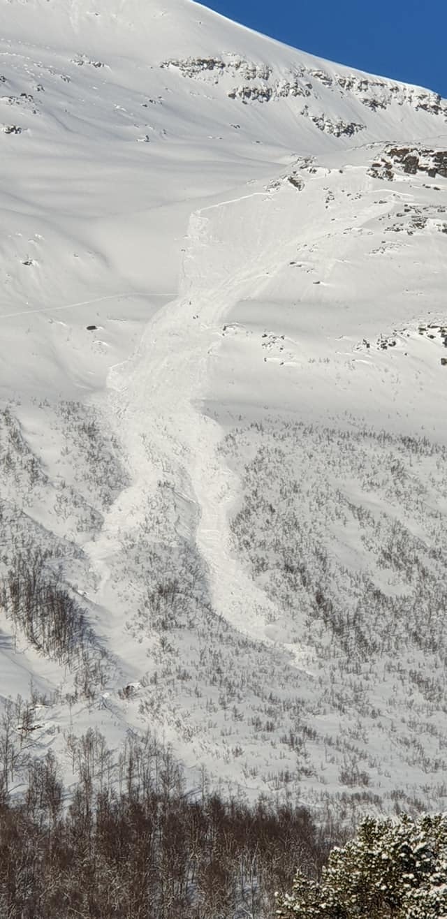 STORT: Skredet gikk på Blåbærfjellet i Tamokdalen torsdag. Foto: Aadne Olsrud STORT: Skredet gikk på Blåbærfjellet i Tamokdalen torsdag. Foto: Aadne Olsrud