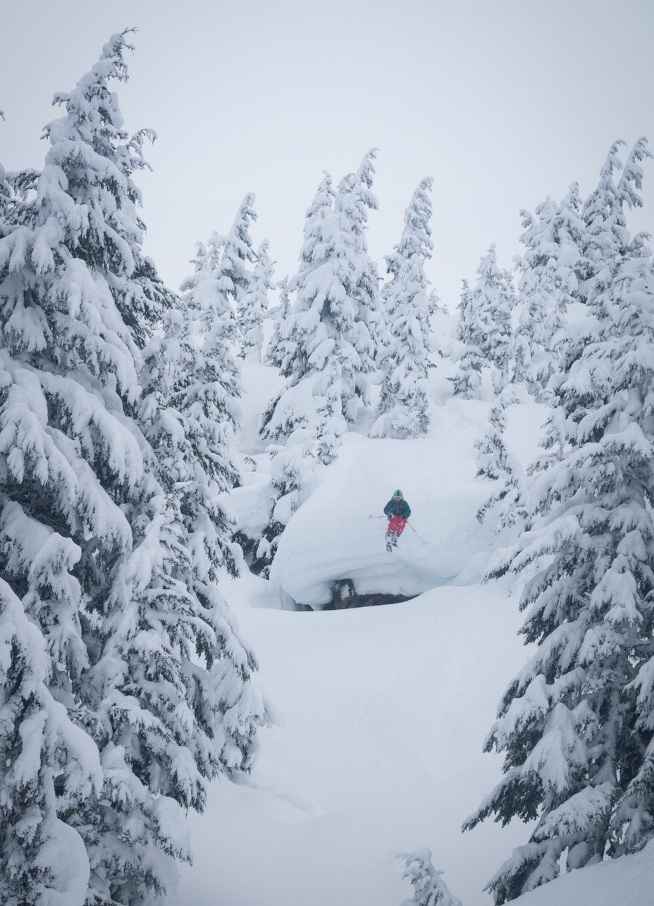 ALASKASKOG: Snøen lavet ned og snøskredene dundra ned de store fjellsidene i Alaska mens Nikolai og kompani var der i januar 2013. Da var det tryggest å holde seg i skogen. Bilde: Joel Shute ALASKASKOG: Snøen lavet ned og snøskredene dundra ned de store fjellsidene i Alaska mens Nikolai og kompani var der i januar 2013. Da var det tryggest å holde seg i skogen. Bilde: Joel Shute