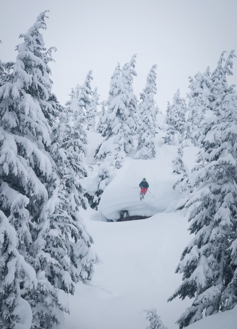 ALASKASKOG: Snøen lavet ned og snøskredene dundra ned de store fjellsidene i Alaska mens Nikolai og kompani var der i januar 2013. Da var det tryggest å holde seg i skogen. Bilde: Joel Shute