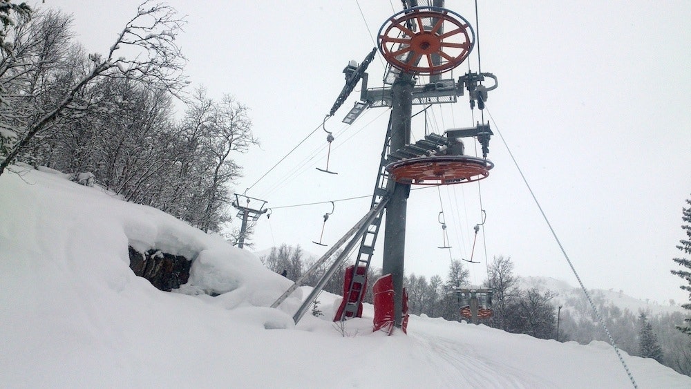 11-45-36_ordinary_1200 11-45-36_ordinary_1200