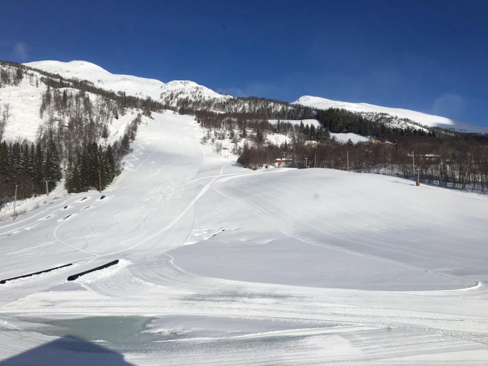 17362855_1265704016838722_6921434935744701935_n 17362855_1265704016838722_6921434935744701935_n