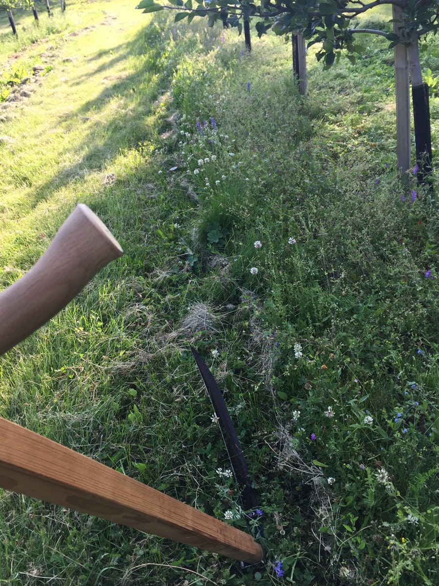 Ljåslått hjemme på Muggerud-gården. Ljåslått hjemme på Muggerud-gården.