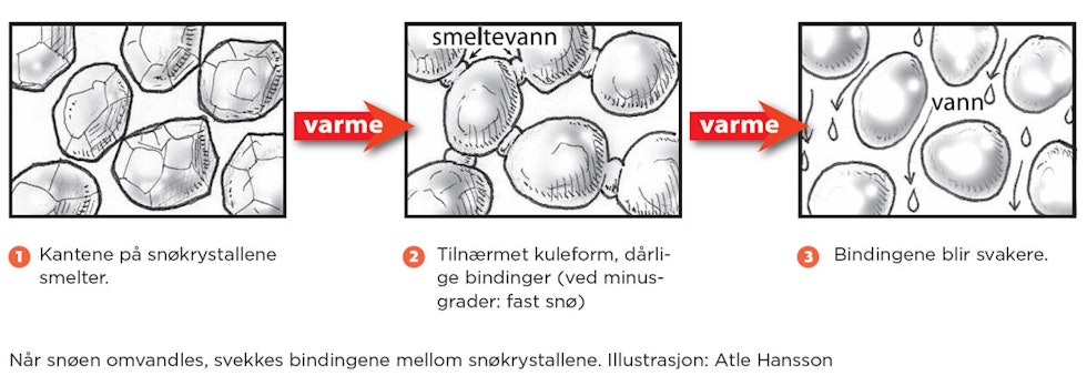 snøomvandling snøomvandling