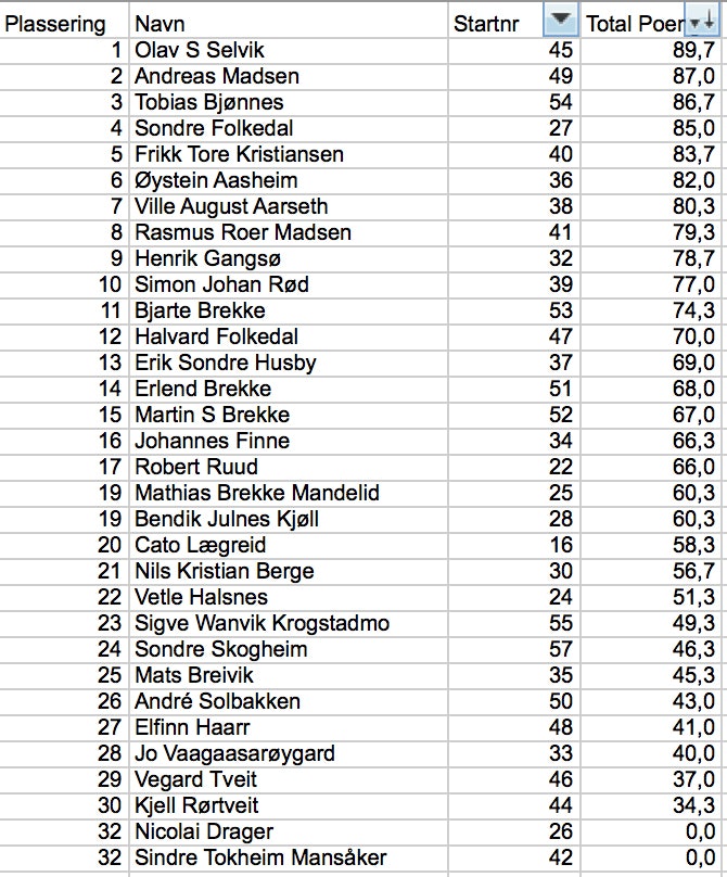 ski,-herrer ski,-herrer