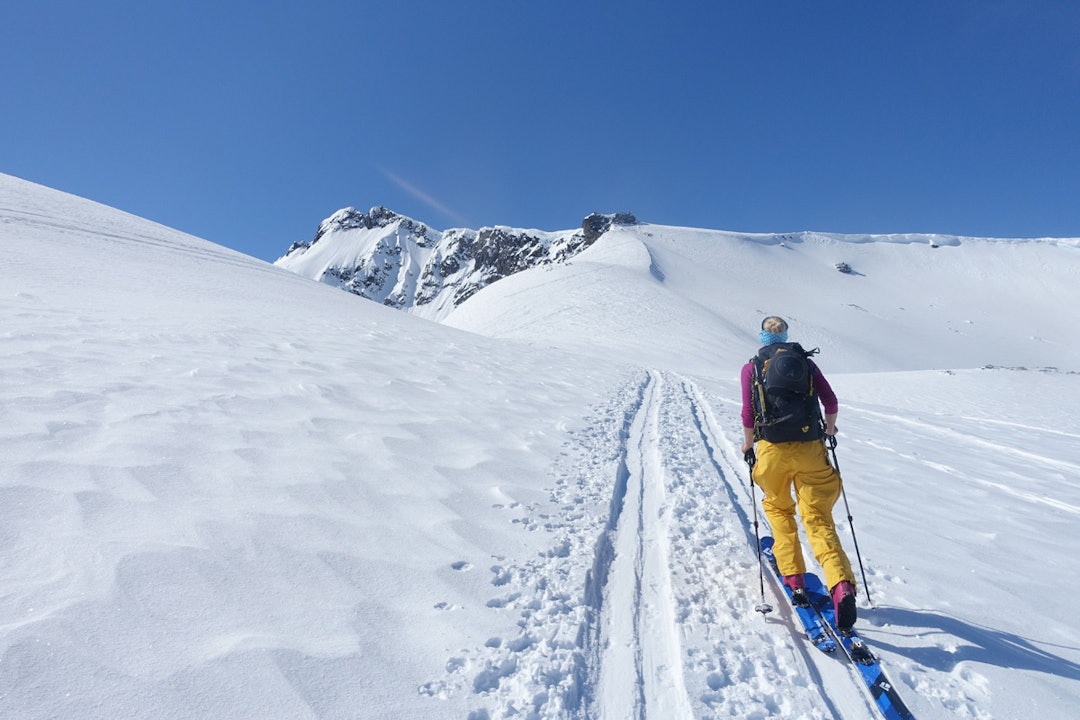 med-toppen-av-skjervan-i-sikte med-toppen-av-skjervan-i-sikte