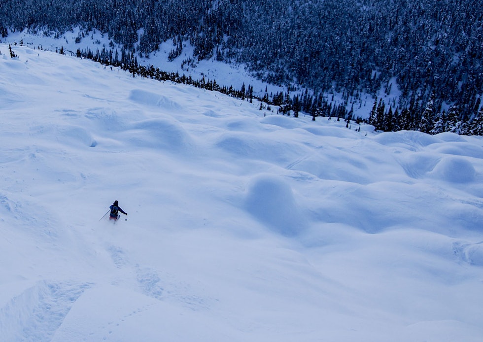 DEILIG: Dette er liksom kanadisk skikjøring på sitt beste. Foto: Øystein Bjelland DEILIG: Dette er liksom kanadisk skikjøring på sitt beste. Foto: Øystein Bjelland