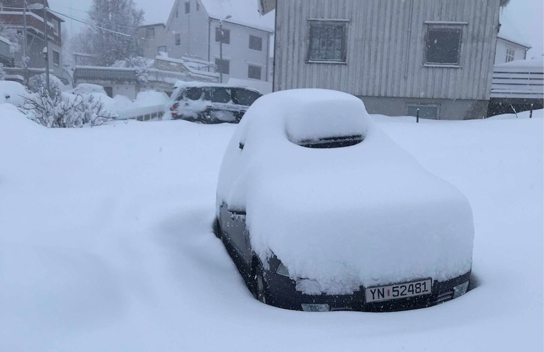 Narvik_nysnø_friflyt Narvik_nysnø_friflyt