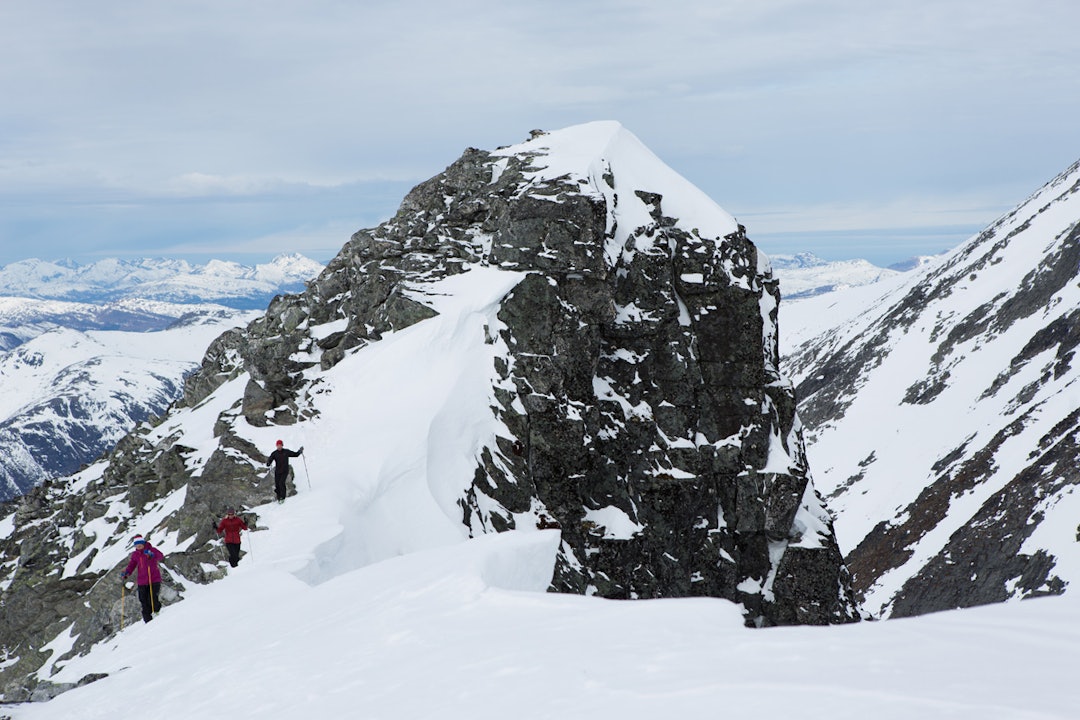 litlskjorta litlskjorta