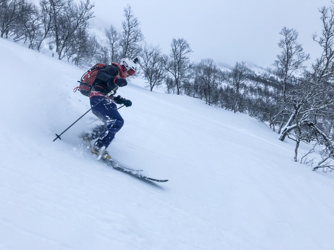 FRI SJEL: Skipatruljens guide i Sunnfjord og Dvergsdalsdalen Håvard Sandal Høyvik (19) snuste seg frem til snø det virkelig var verdt å skrive hjem om. Bilde: Christian Nerdrum