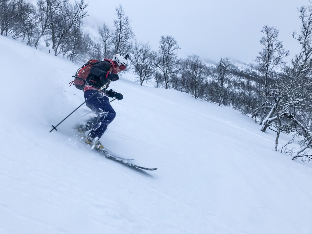 FRI SJEL: Skipatruljens guide i Sunnfjord og Dvergsdalsdalen Håvard Sandal Høyvik (19) snuste seg frem til snø det virkelig var verdt å skrive hjem om. Bilde: Christian Nerdrum FRI SJEL: Skipatruljens guide i Sunnfjord og Dvergsdalsdalen Håvard Sandal Høyvik (19) snuste seg frem til snø det virkelig var verdt å skrive hjem om. Bilde: Christian Nerdrum