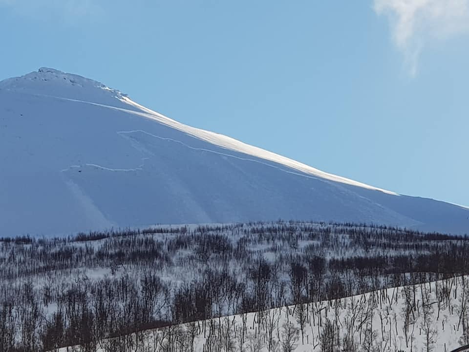 29496673_10156195917869496_3799692351987777536_n 29496673_10156195917869496_3799692351987777536_n