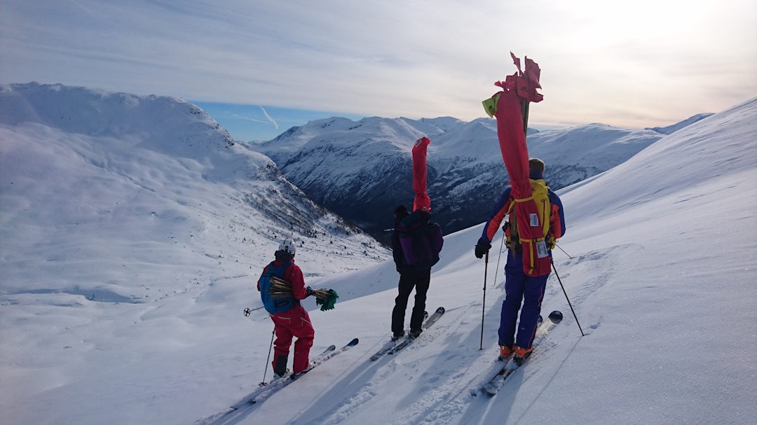 17269123_10209687105589165_938409126_o 17269123_10209687105589165_938409126_o