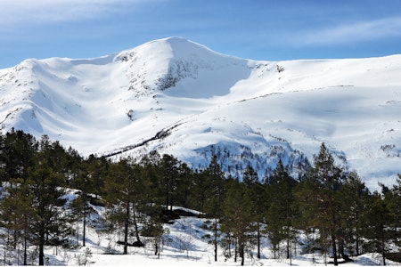 Horndalsnuten sett fra nordvest. Foto: Svein Ulvund/Toppturer i Norge Horndalsnuten Topptur Voss