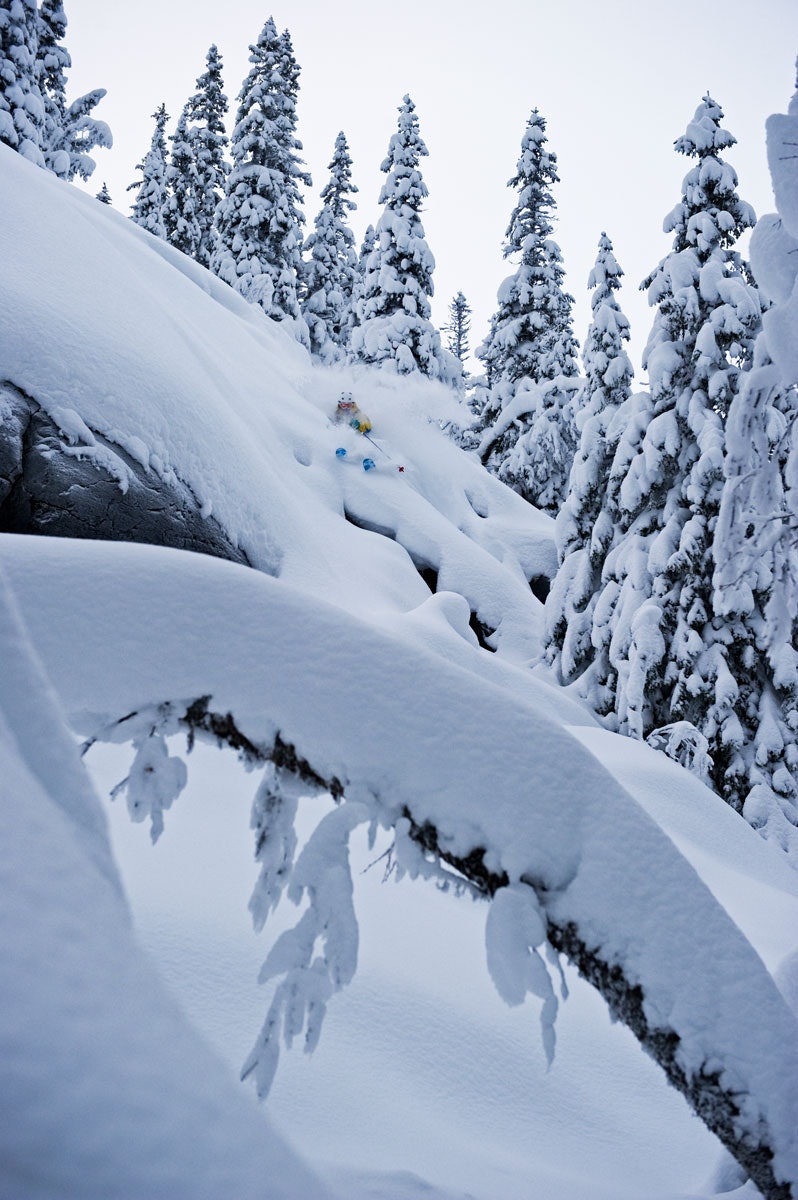 SVENS DRÖMSKOG: David Kantermo kjører i skogen i Duved. Foto: Mattias Fredriksson