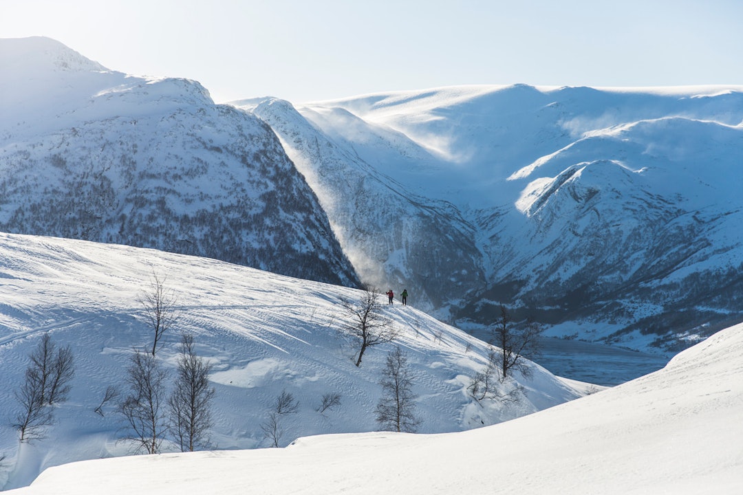 VÆR: Tøffe forhold. Foto: Line Hårklau VÆR: Tøffe forhold. Foto: Line Hårklau