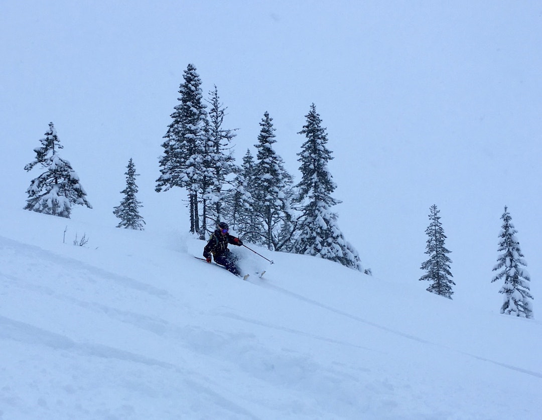 IMG_2530_crop IMG_2530_crop