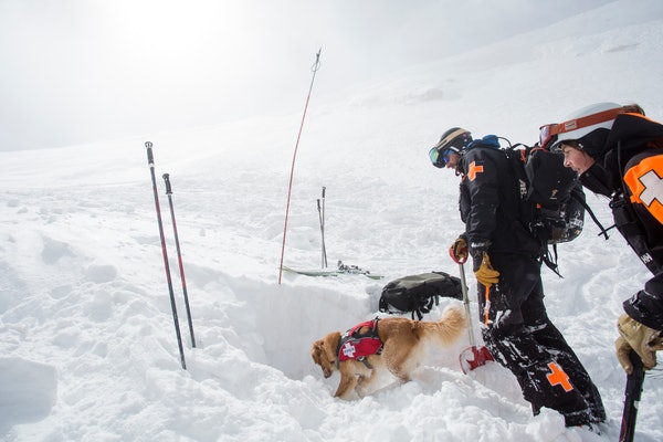 16-K-09_full 16-K-09_full