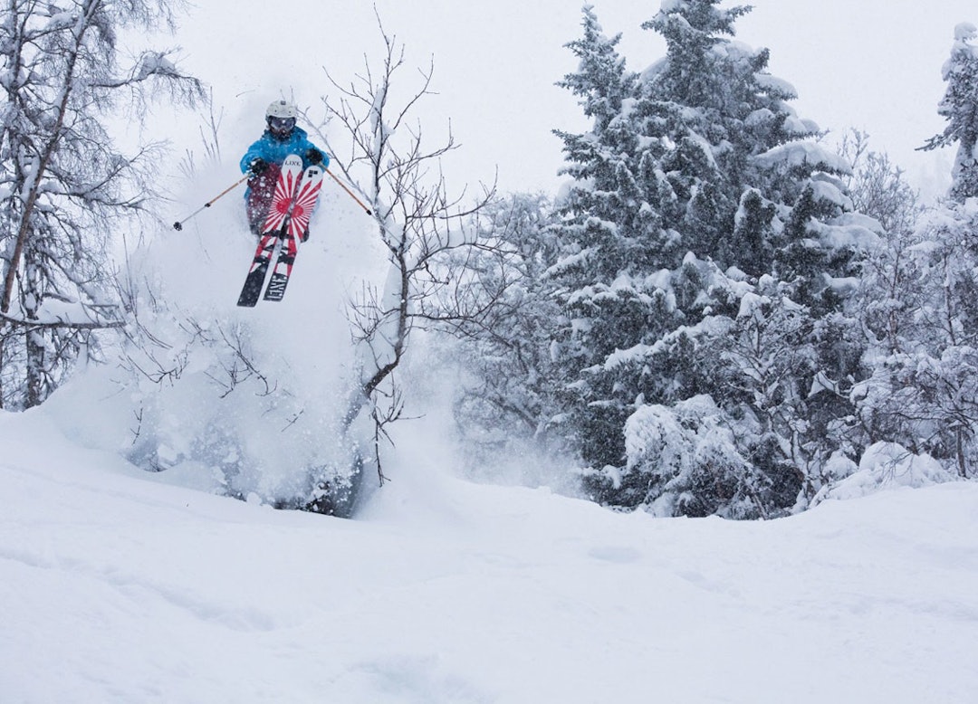 Skogrydding-kan-gi-ansvar_ordinary_1200 Skogrydding-kan-gi-ansvar_ordinary_1200