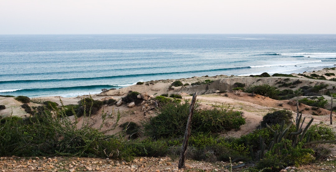 TACO TURN: Etter en drøy halvtime på landeveien i retning Ørken, kommer du til Nine Palms. En snill og lite befolka høyrebølge du får ha helt for deg selv. Bilde: Christian Nerdrum TACO TURN: Etter en drøy halvtime på landeveien i retning Ørken, kommer du til Nine Palms. En snill og lite befolka høyrebølge du får ha helt for deg selv. Bilde: Christian Nerdrum