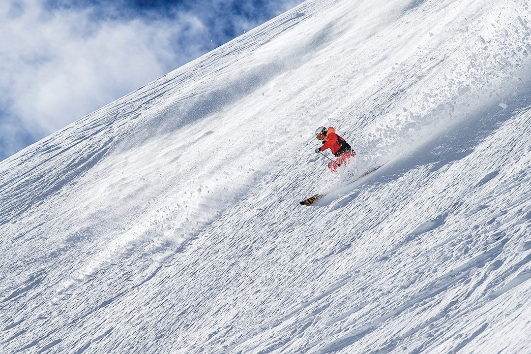 Disse-skal-kjempe-om-aa-bli-Nordens-beste-frikjoerer_ordinary_1200 Disse-skal-kjempe-om-aa-bli-Nordens-beste-frikjoerer_ordinary_1200