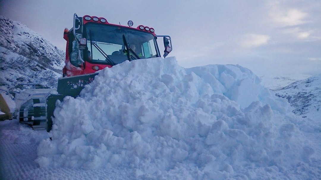 12298170_10156217965945142_1361359929_o 12298170_10156217965945142_1361359929_o